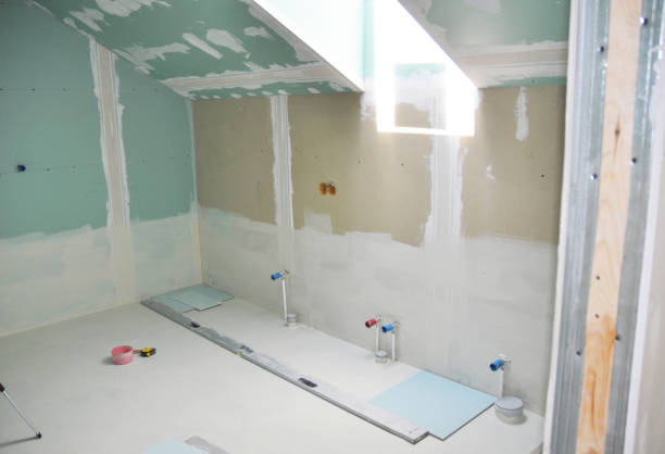Best Mold Documentation for Insurance Claims  in Colon, MI