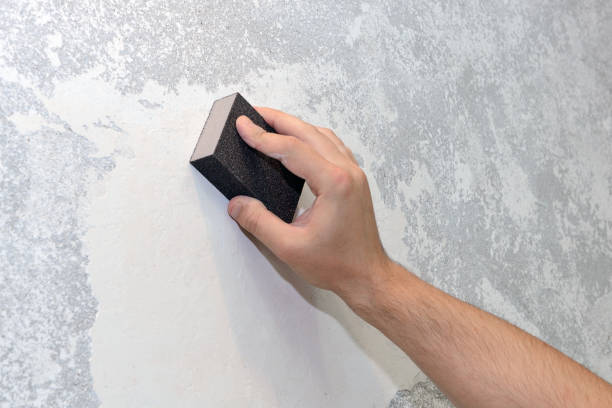 Best Comprehensive Air Testing for Mold Contaminants  in Colon, MI