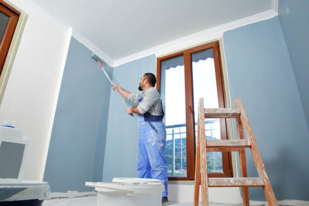 Best Mold Prevention Services  in Colon, MI