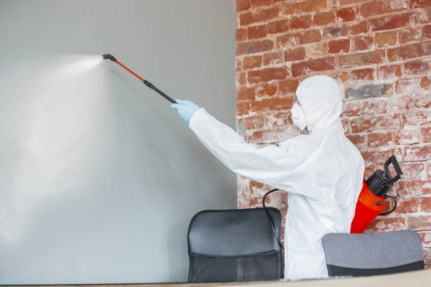Best Commercial Mold Inspection  in Colon, MI