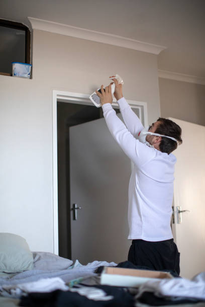 Best Environmental Consulting for Mold Prevention  in Colon, MI