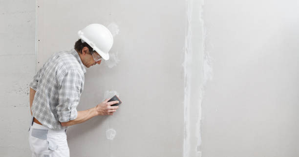 Best Airborne Mold Testing  in Colon, MI