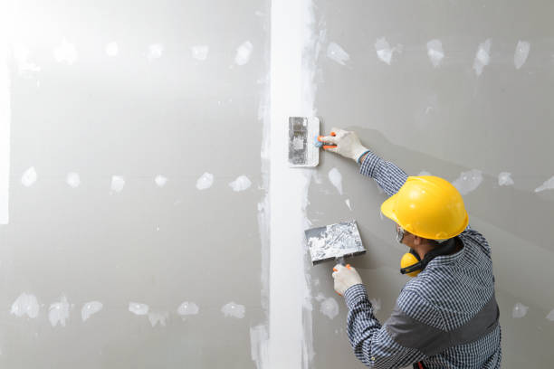Colon, MI Mold Removal Company